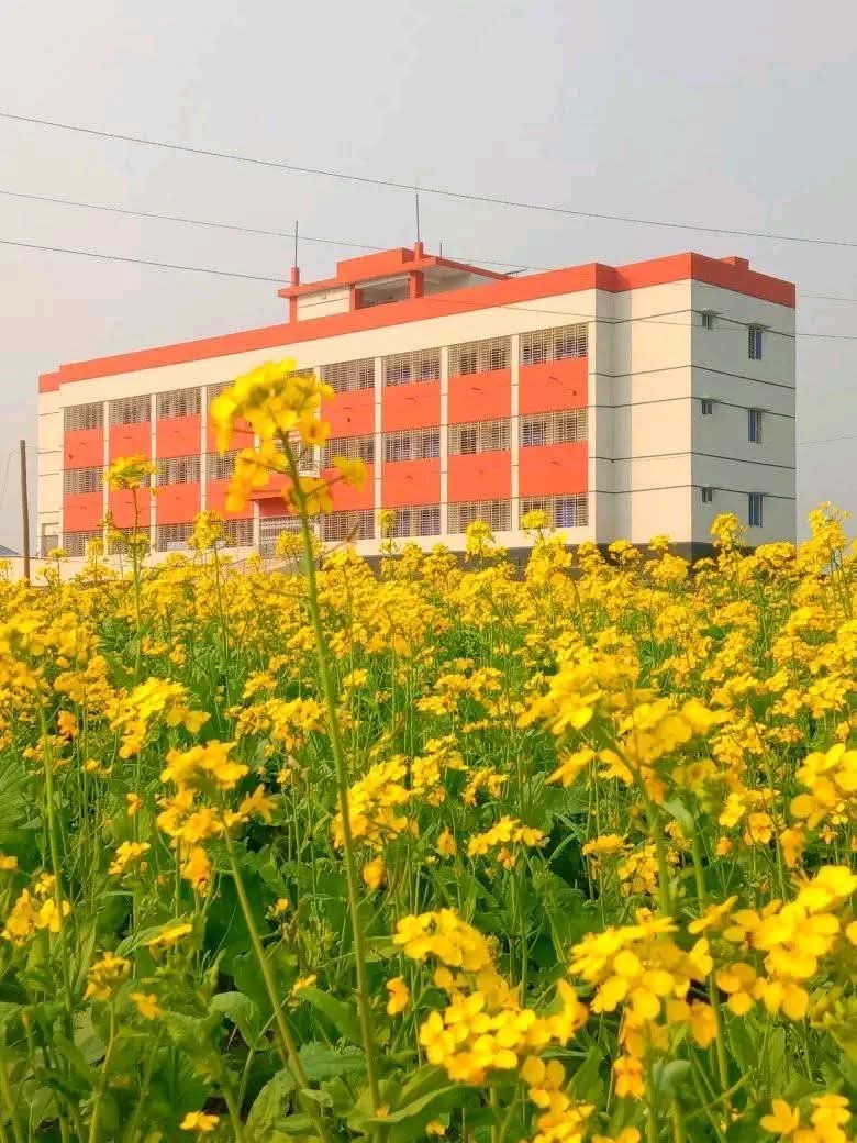 School Image 4